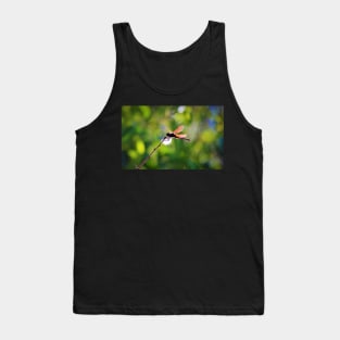 Dragonfly on a Stick 3 Tank Top